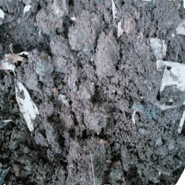 Vermicompost