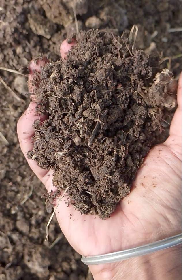 Enriched Farm Yard Manure
